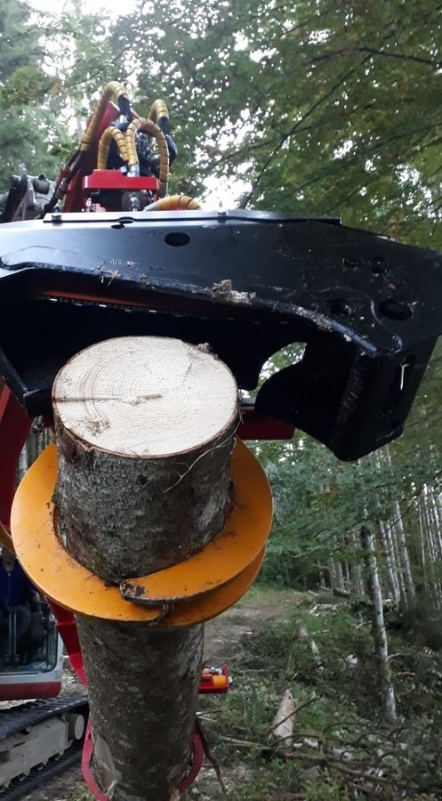 Holzvollernter typu Naarva S23C, Neumaschine v Gosau am Dachstein (Obrázek 11)