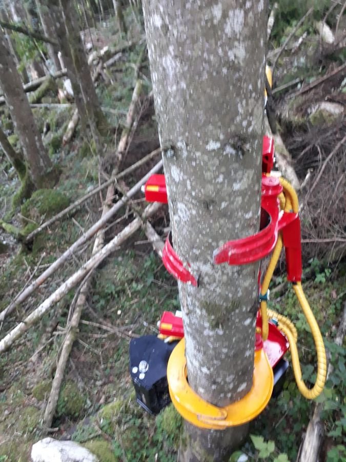 Holzvollernter typu Naarva S23C, Neumaschine v Gosau am Dachstein (Obrázek 10)