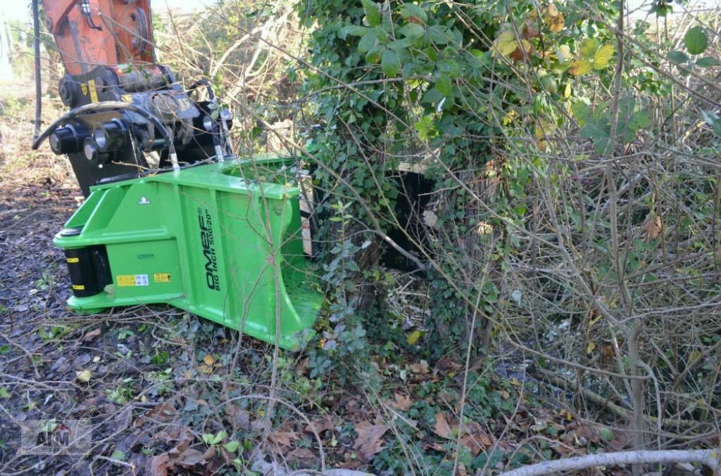 Holzvollernter Türe ait Omef BI 300, Neumaschine içinde Haselbach (resim 1)