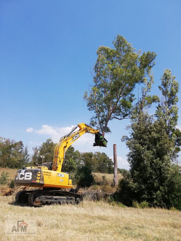 Holzvollernter Türe ait Omef BI 300, Neumaschine içinde Haselbach (resim 5)