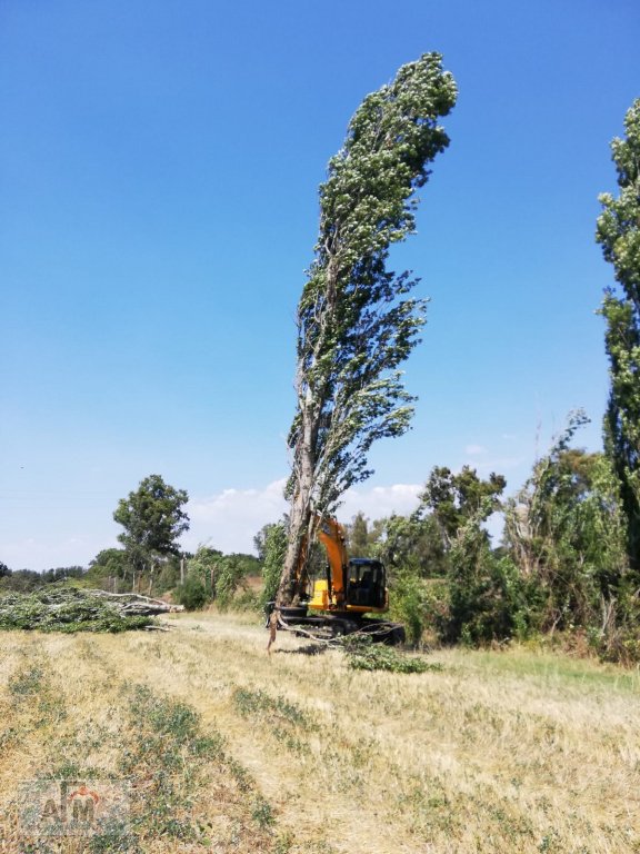 Holzvollernter Türe ait Omef BI 300, Neumaschine içinde Haselbach (resim 7)