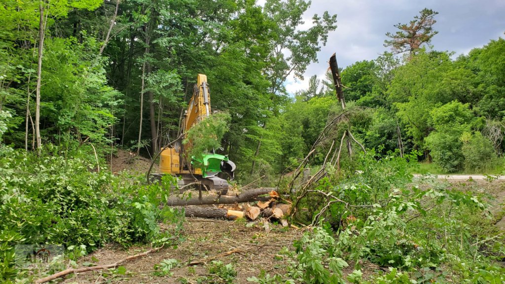Holzvollernter Türe ait Omef BI 300, Neumaschine içinde Haselbach (resim 12)