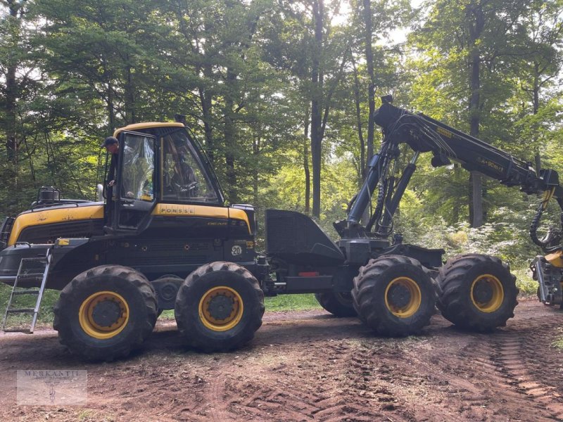 Holzvollernter des Typs Ponsse Bear mit H8, Gebrauchtmaschine in Pragsdorf (Bild 1)