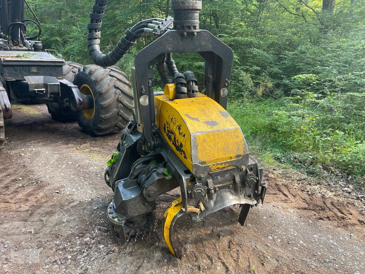Holzvollernter typu Ponsse Bear mit H8, Gebrauchtmaschine v Pragsdorf (Obrázek 5)