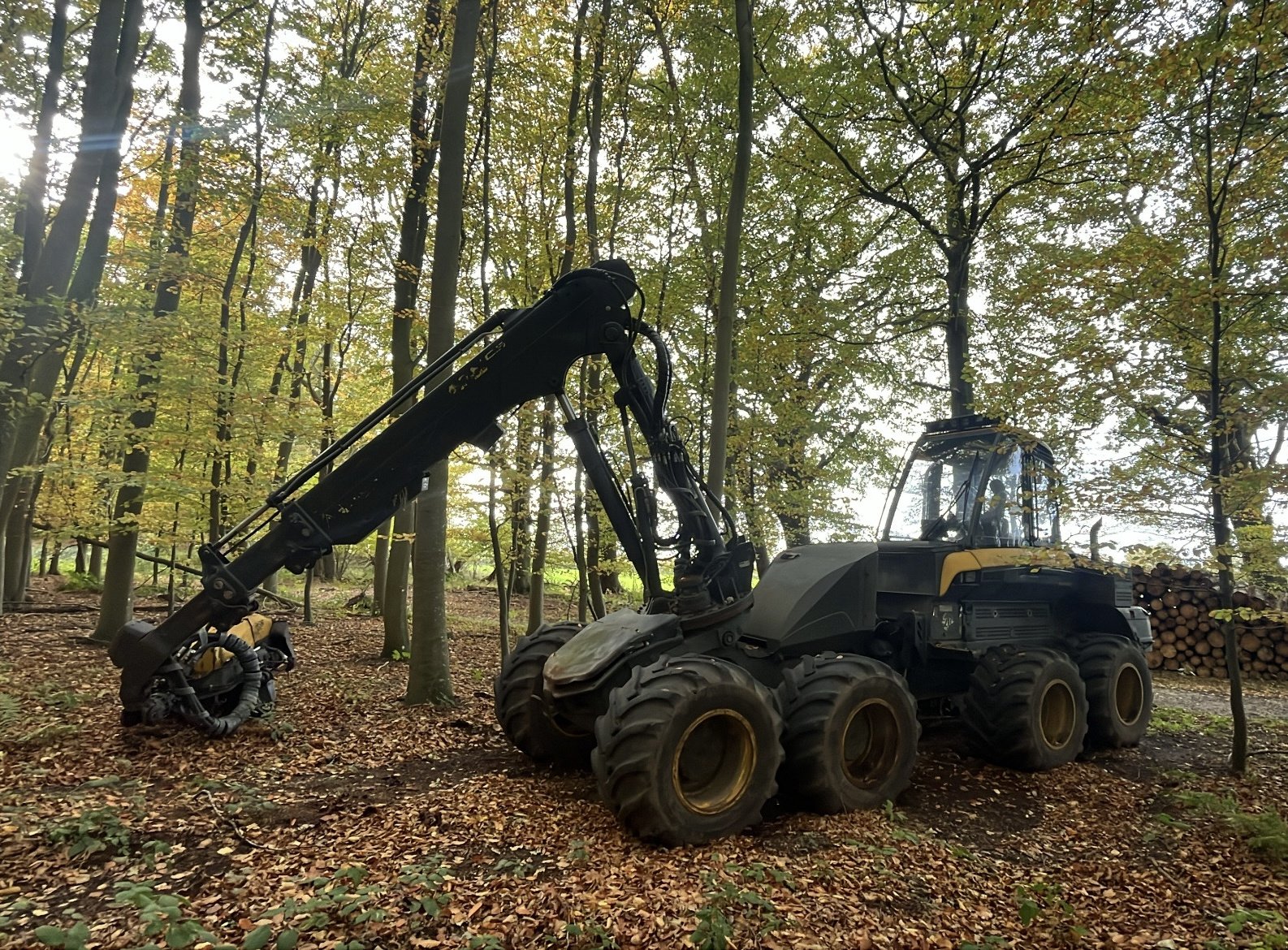 Holzvollernter typu Ponsse Ergo 8WD, Gebrauchtmaschine v Hamberge (Obrázek 1)