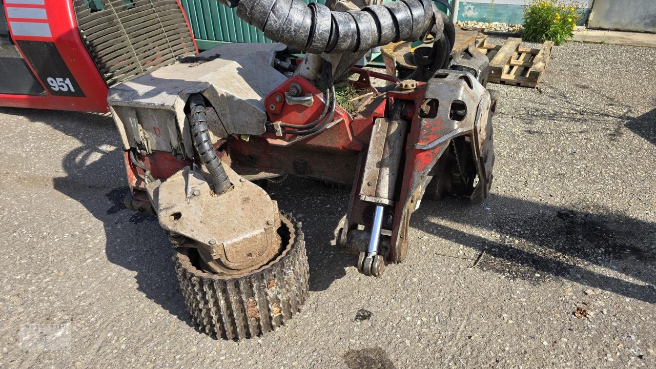 Holzvollernter Türe ait Sonstige EcoLog 688, Gebrauchtmaschine içinde Pragsdorf (resim 5)