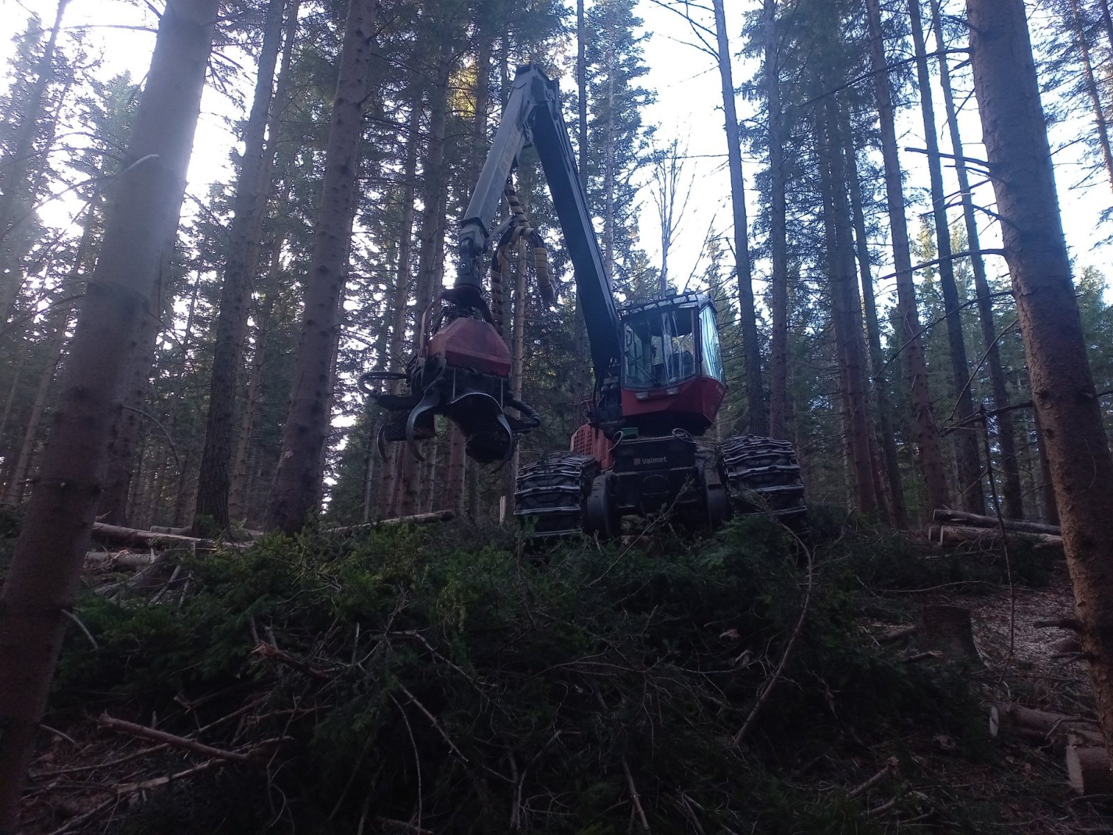 Holzvollernter типа Valmet 921, Gebrauchtmaschine в St. Oswald ob Eibiswald Austria (Фотография 1)
