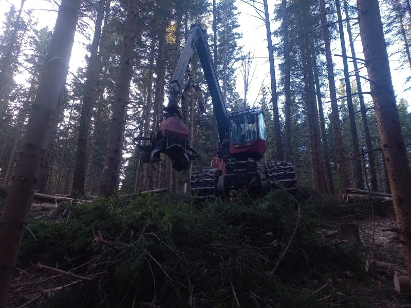 Holzvollernter типа Valmet 921, Gebrauchtmaschine в St. Oswald ob Eibiswald Austria (Фотография 1)