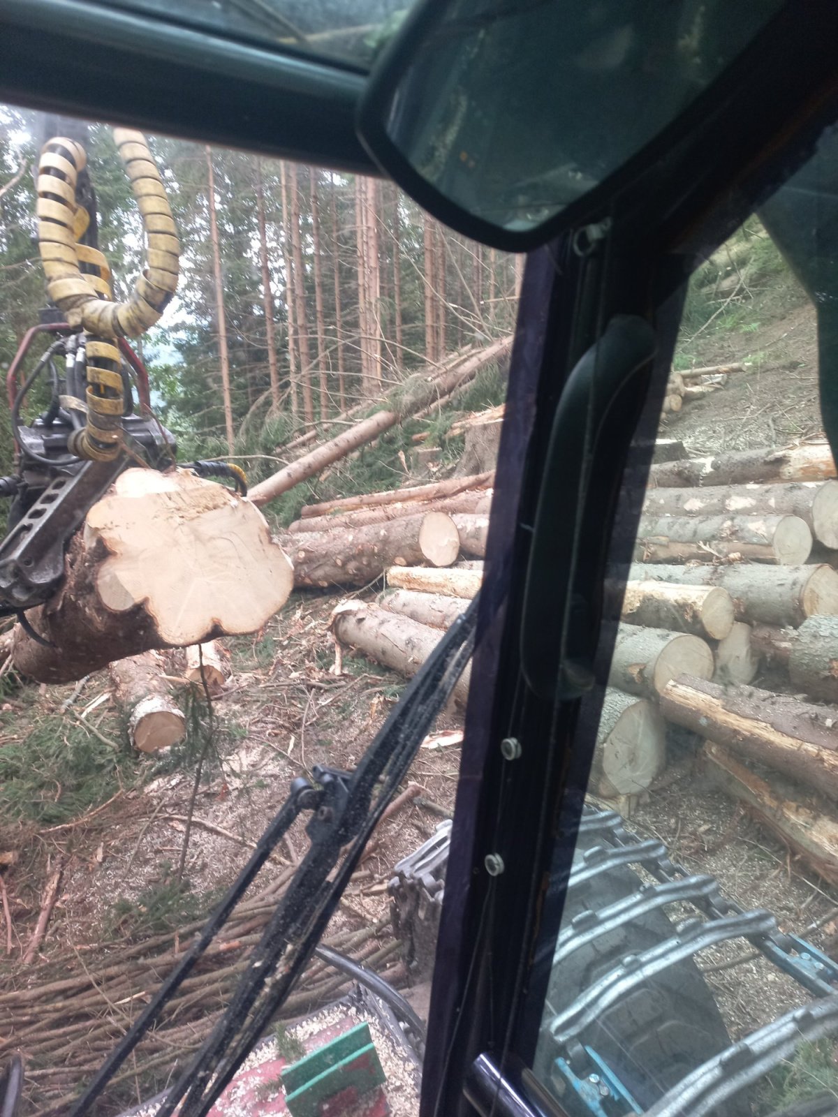 Holzvollernter типа Valmet 921, Gebrauchtmaschine в St. Oswald ob Eibiswald Austria (Фотография 2)