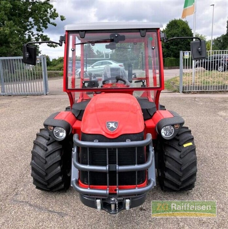 Hopfentraktor typu Antonio Carraro TTR 7600 Infinity, Gebrauchtmaschine v Bühl (Obrázek 3)