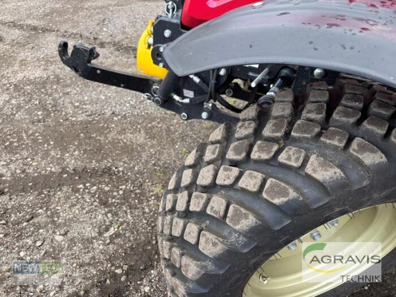 Hopfentraktor типа Yanmar YT-347V, Neumaschine в Scharbeutz (Фотография 12)