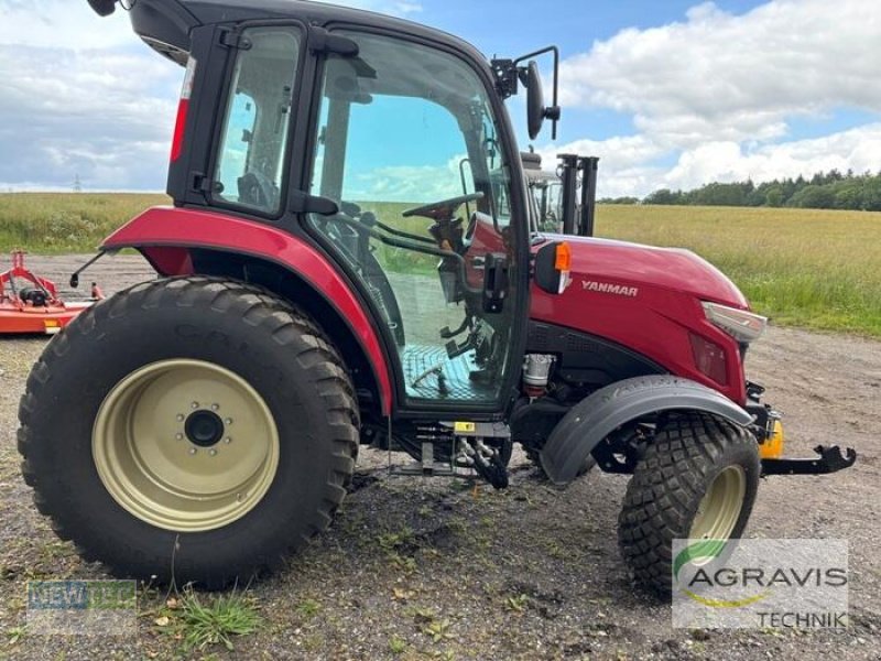 Hopfentraktor типа Yanmar YT-347V, Neumaschine в Scharbeutz (Фотография 4)
