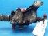 Hydraulik typu Case Puma 185, Gebrauchtmaschine v Hemmet (Obrázek 5)
