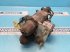 Hydraulik typu New Holland 8970, Gebrauchtmaschine v Hemmet (Obrázek 5)