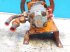 hydraulische Anlage типа Sonstige D1200, Gebrauchtmaschine в Hemmet (Фотография 5)