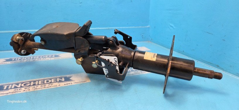 Kabine des Typs Case Maxxum 125, Gebrauchtmaschine in Hemmet (Bild 16)