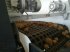 Kartoffel-Sortiermaschine des Typs KMK Websortierer SO90 SO120, Neumaschine in Ehekirchen (Bild 13)