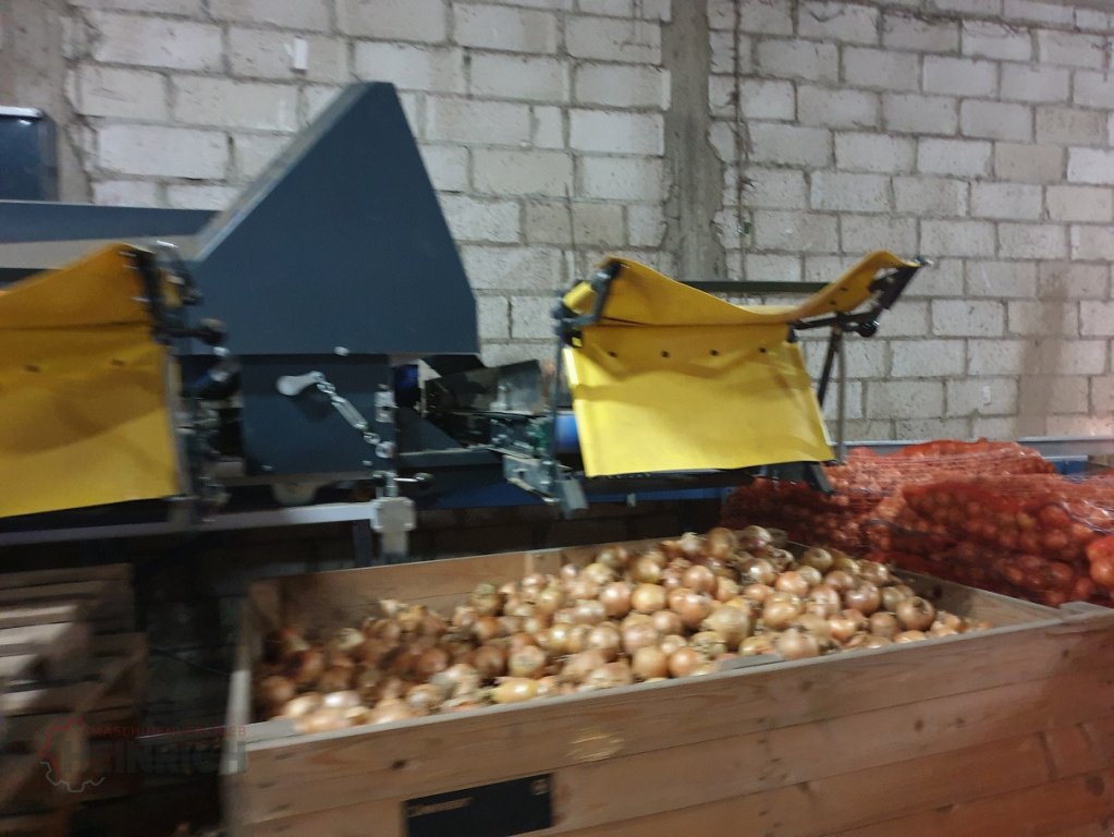 Kartoffel-Sortiermaschine des Typs KMK Websortierer SO90 SO120, Neumaschine in Ehekirchen (Bild 21)
