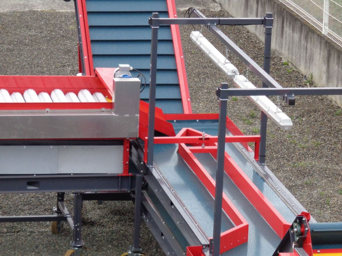 Kartoffel-Sortiermaschine des Typs Sonstige Bänder für Knoblauch Sortierung & Reinigung, Neumaschine in Harmannsdorf-Rückersdorf (Bild 3)
