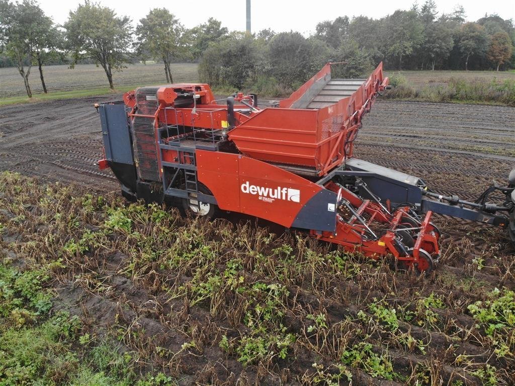 Kartoffel-VE des Typs Dewulf RQA2060, Gebrauchtmaschine in Horsens (Bild 1)