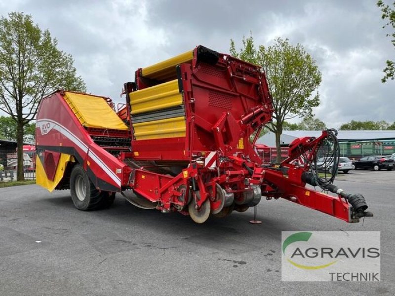 Kartoffel-VE des Typs Grimme EVO 290 AIR SEP UB, Gebrauchtmaschine in Meppen (Bild 2)