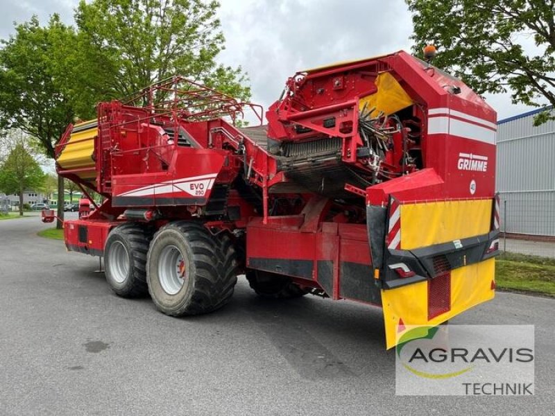 Kartoffel-VE des Typs Grimme EVO 290 AIR SEP UB, Gebrauchtmaschine in Meppen (Bild 4)