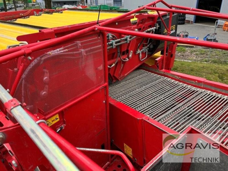 Kartoffel-VE del tipo Grimme EVO 290 AIR SEP UB, Gebrauchtmaschine In Meppen (Immagine 31)