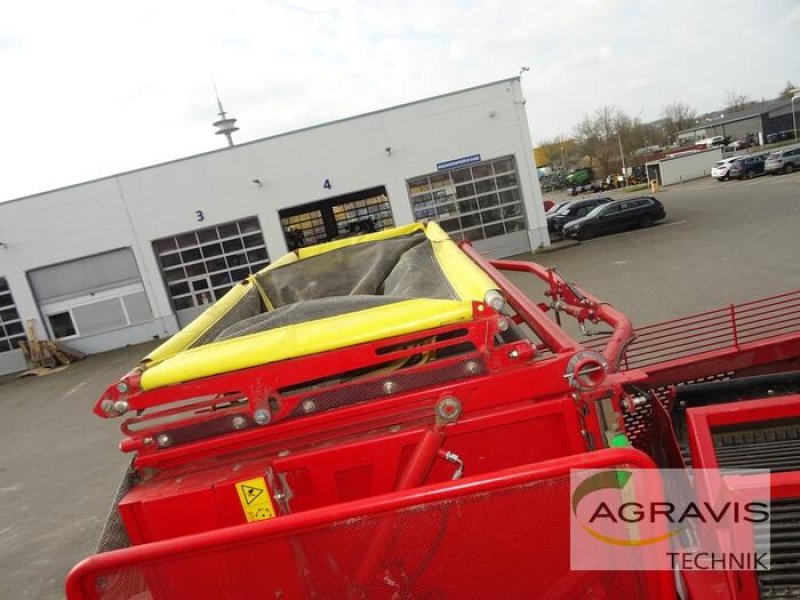 Kartoffel-VE of the type Grimme EVO 290 NB, Gebrauchtmaschine in Uelzen (Picture 19)