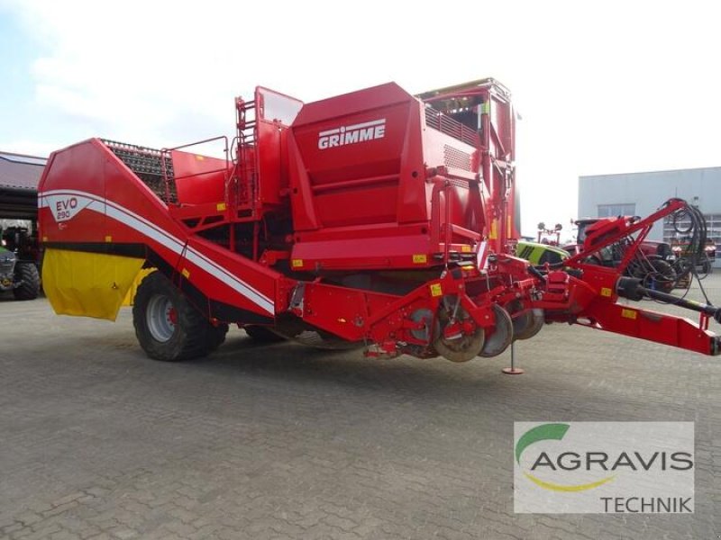 Kartoffel-VE del tipo Grimme EVO 290 NB, Gebrauchtmaschine In Uelzen (Immagine 3)