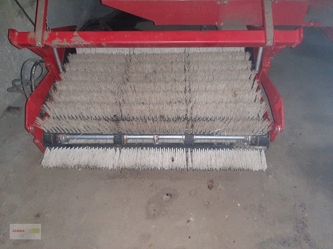 Kartoffel-VE tipa Grimme EVO 290, Gebrauchtmaschine u Groß Germersleben (Slika 4)