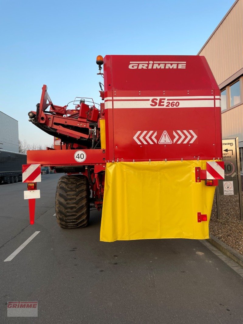 Kartoffel-VE of the type Grimme SE 260 NB, Gebrauchtmaschine in Damme (Picture 4)