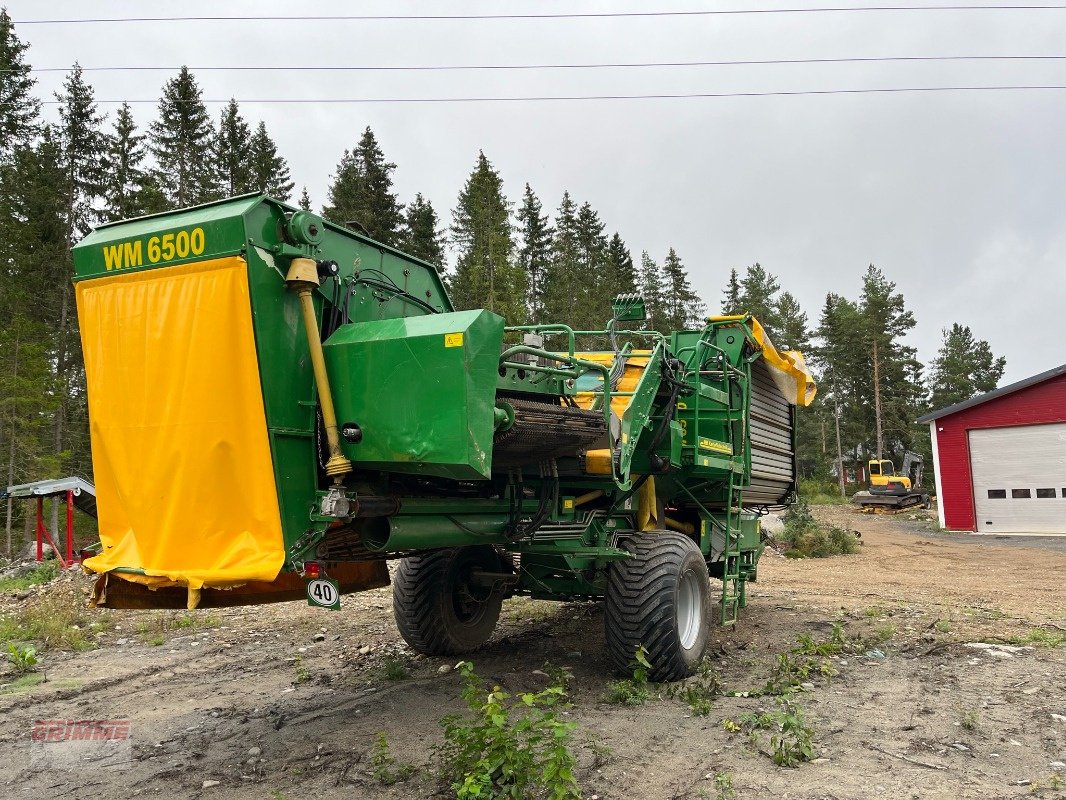 Kartoffel-VE del tipo WM Kartoffeltechnik WM 6500, Gebrauchtmaschine In Kristiinankaupunki (Immagine 4)