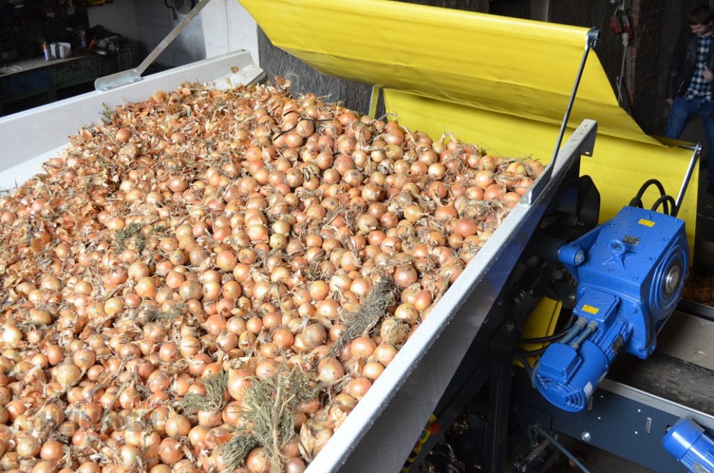 Kartoffellagerungstechnik typu KMK Sturzbunker Schüttbunker, Neumaschine w Ehekirchen (Zdjęcie 10)