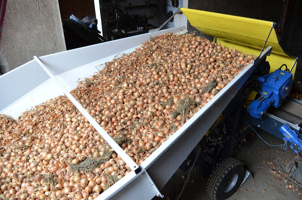 Kartoffellagerungstechnik typu KMK Sturzbunker Schüttbunker, Neumaschine w Ehekirchen (Zdjęcie 11)
