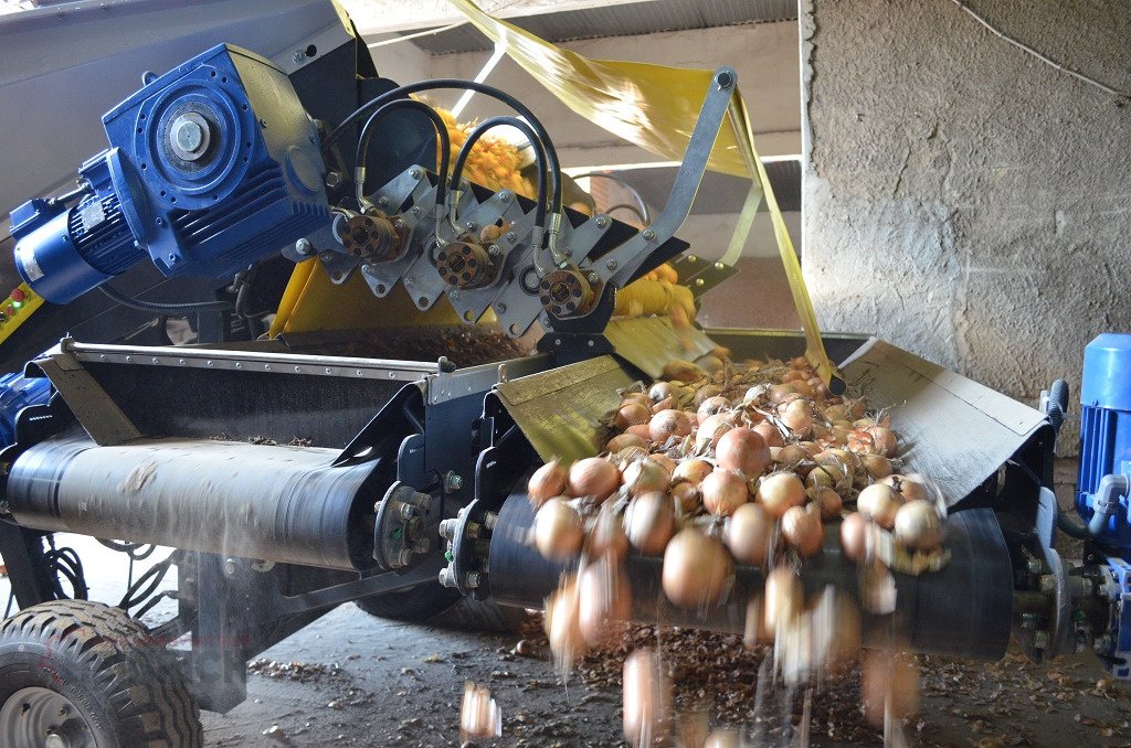 Kartoffellagerungstechnik des Typs KMK Sturzbunker Schüttbunker, Neumaschine in Ehekirchen (Bild 12)