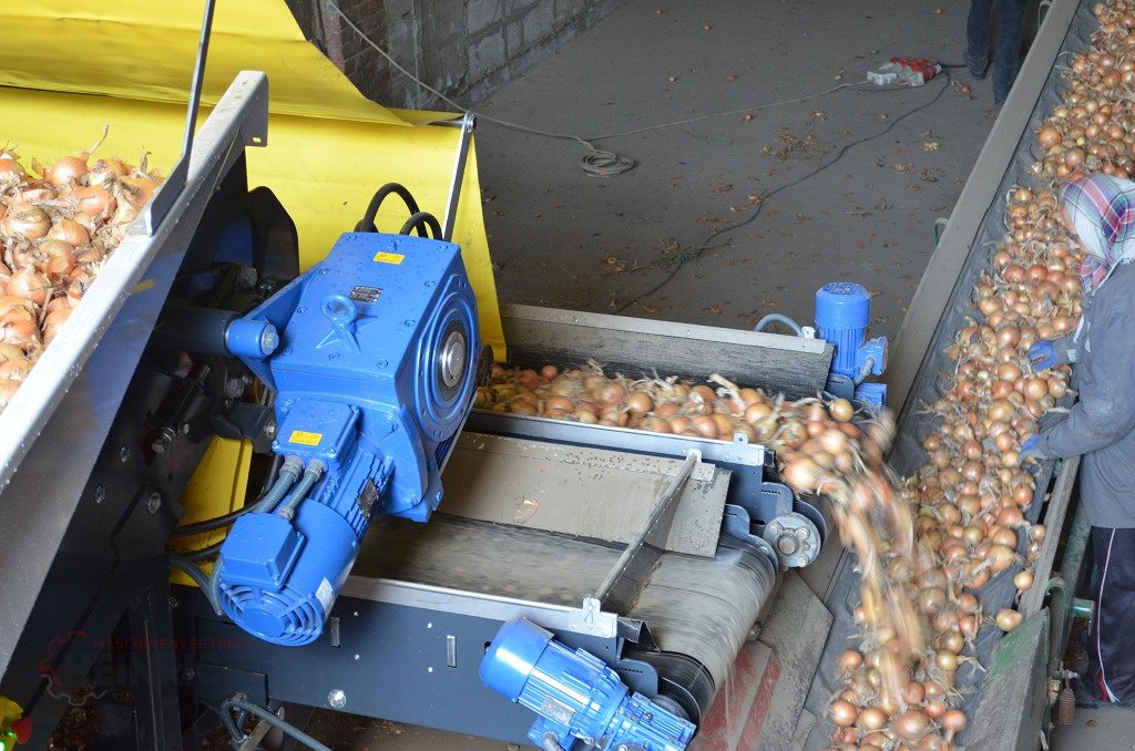 Kartoffellagerungstechnik typu KMK Sturzbunker Schüttbunker, Neumaschine w Ehekirchen (Zdjęcie 13)