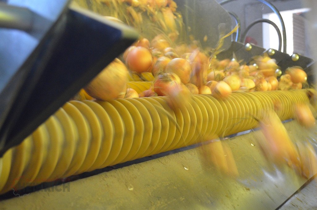 Kartoffellagerungstechnik typu KMK Sturzbunker Schüttbunker, Neumaschine w Ehekirchen (Zdjęcie 14)