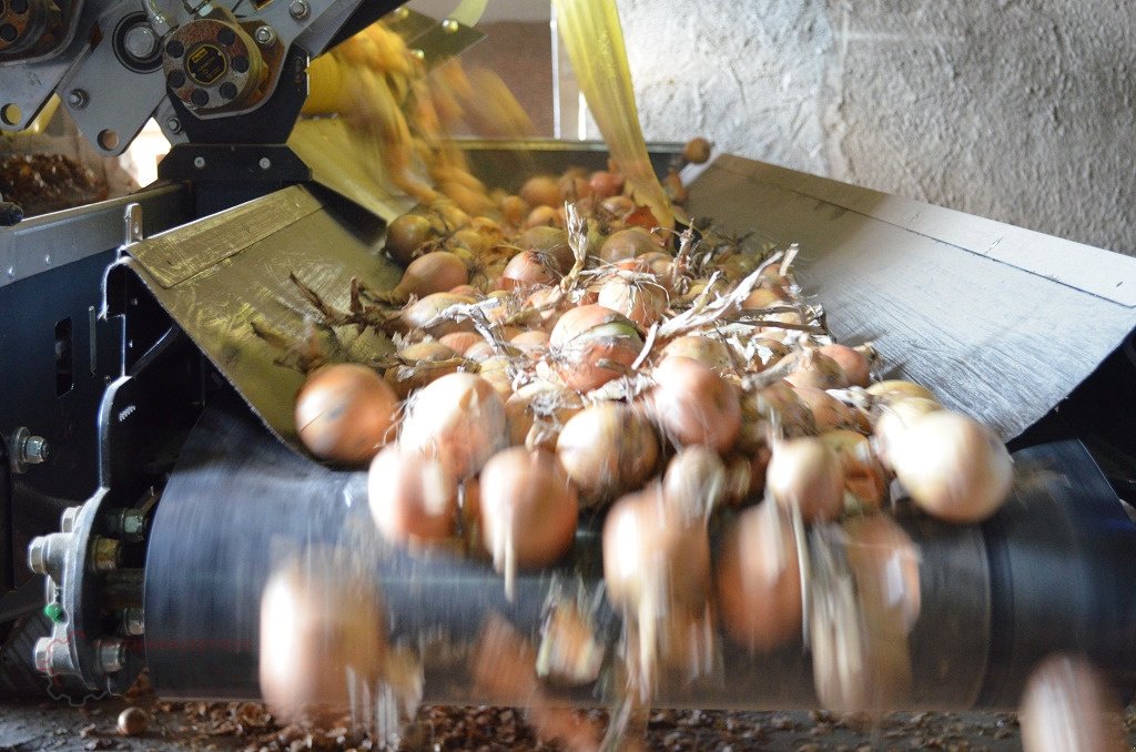 Kartoffellagerungstechnik des Typs KMK Sturzbunker Schüttbunker, Neumaschine in Ehekirchen (Bild 15)