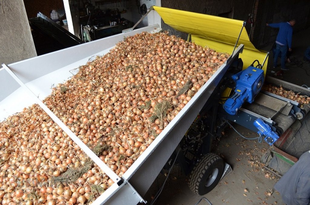 Kartoffellagerungstechnik typu KMK Sturzbunker Schüttbunker, Neumaschine w Ehekirchen (Zdjęcie 16)