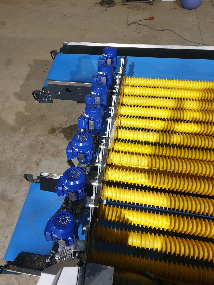 Kartoffellagerungstechnik typu KMK Sturzbunker Schüttbunker, Neumaschine w Ehekirchen (Zdjęcie 8)