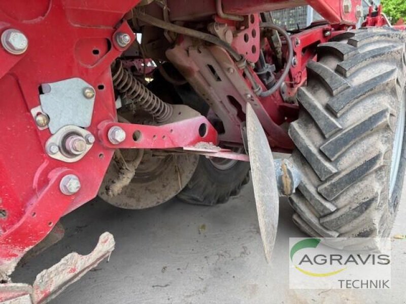 Kartoffellegemaschine typu Grimme GL 34 T, Gebrauchtmaschine v Wittingen (Obrázek 11)