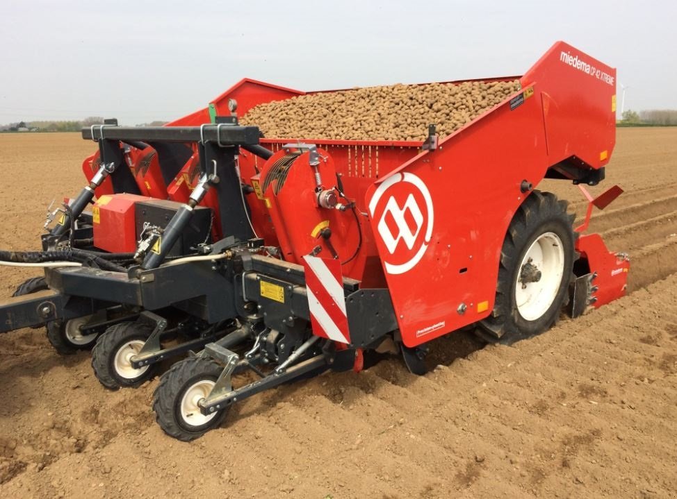 Kartoffellegemaschine typu Miedema CP42, Gebrauchtmaschine v Horsens (Obrázek 1)