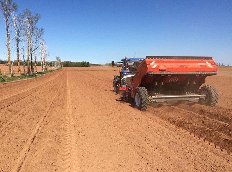 Kartoffellegemaschine typu Miedema CP42, Gebrauchtmaschine v Horsens (Obrázek 3)