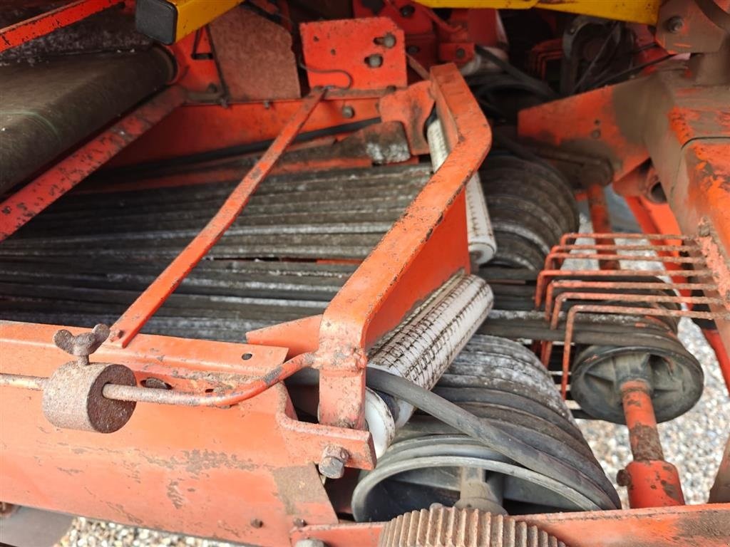 Kartoffellegemaschine Türe ait Structural 3 rækket, Gebrauchtmaschine içinde Bording (resim 17)