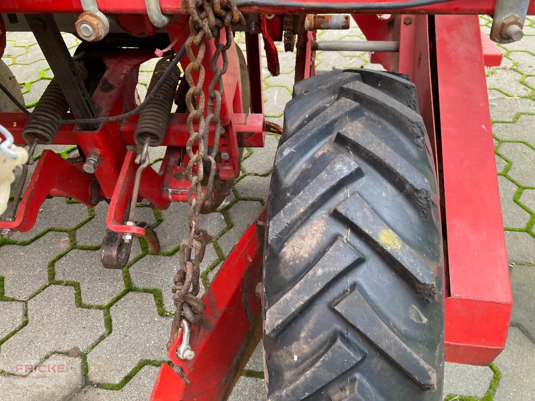 Kartoffelpflegetechnik typu Grimme TS 420, Gebrauchtmaschine v Bockel - Gyhum (Obrázek 10)