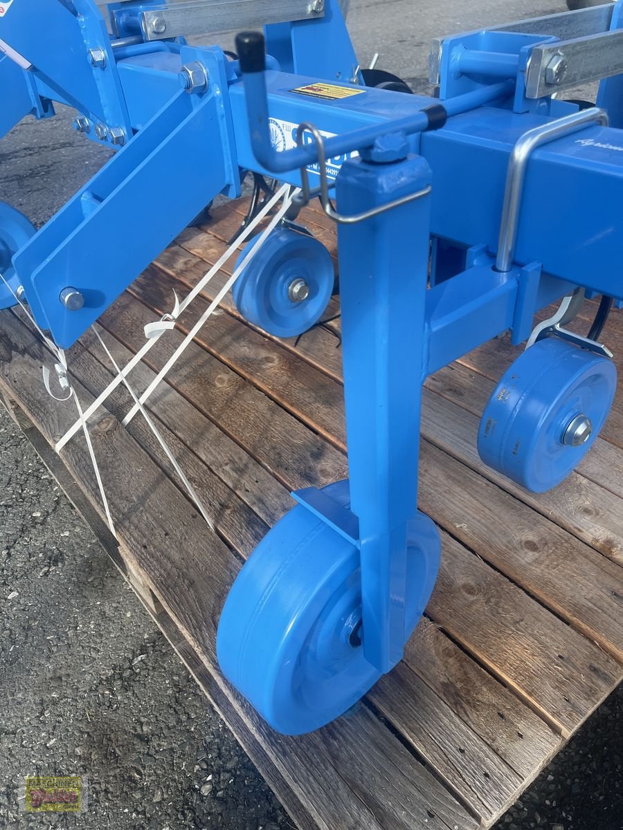 Kartoffelpflegetechnik typu Sonstige SPEDO F.LLI Kartoffelhäufelgerät Premium, Neumaschine v Kötschach (Obrázek 13)