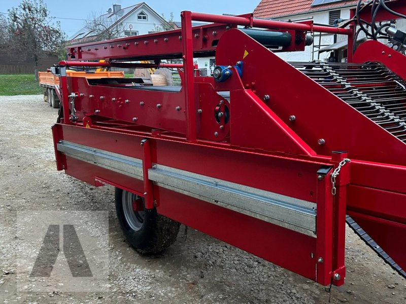 Kartoffelroder Türe ait Carlotti H1450 XL Süßkartoffel-Gemüse-Roder, Gebrauchtmaschine içinde Langweid am Lech