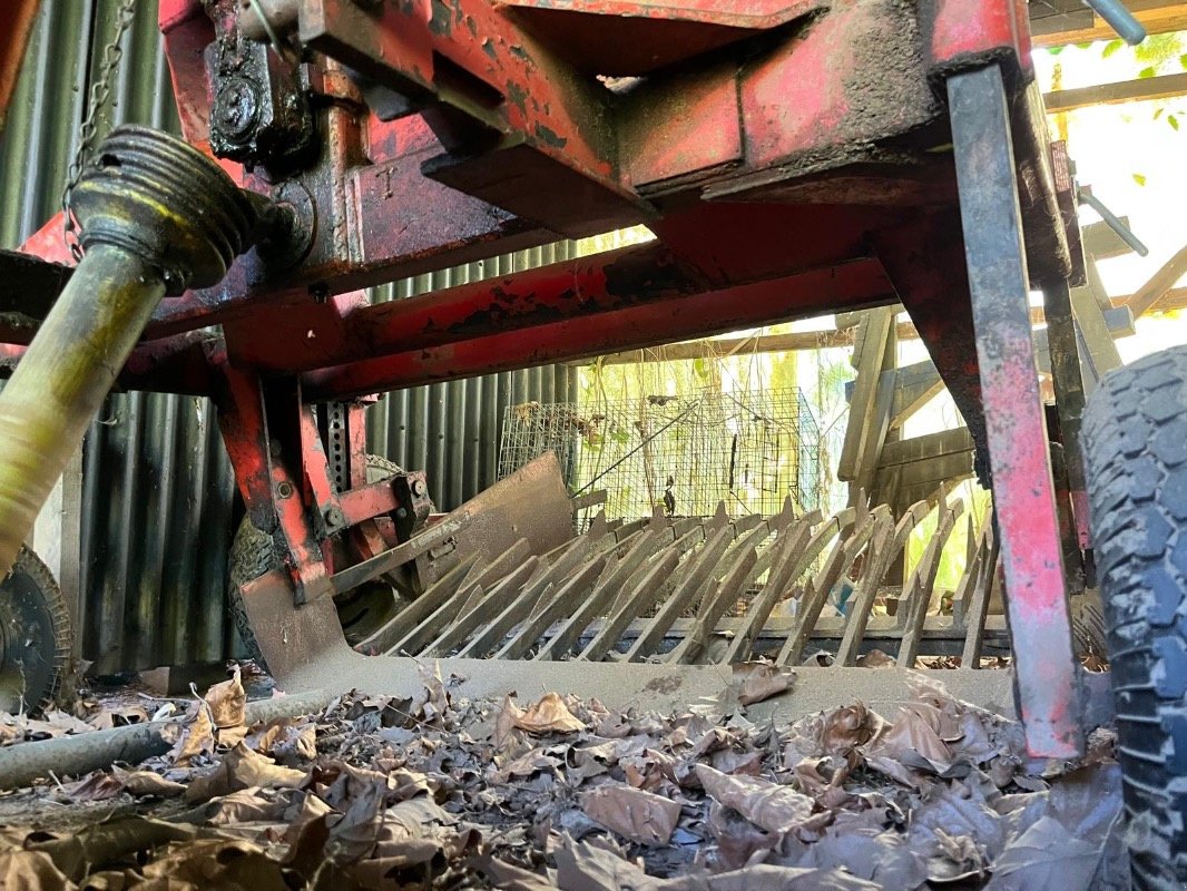 Kartoffelroder of the type Fobro 1000, Gebrauchtmaschine in Elmenhorst-Lanken (Picture 4)