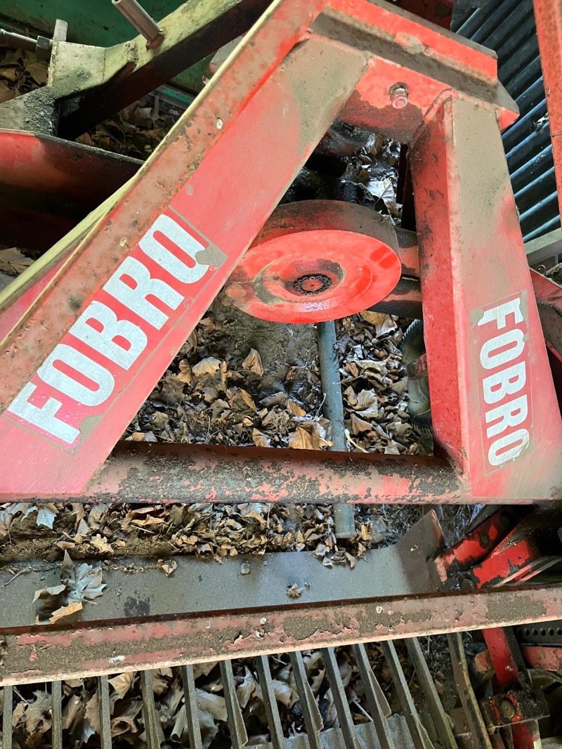 Kartoffelroder of the type Fobro 1000, Gebrauchtmaschine in Elmenhorst-Lanken (Picture 2)