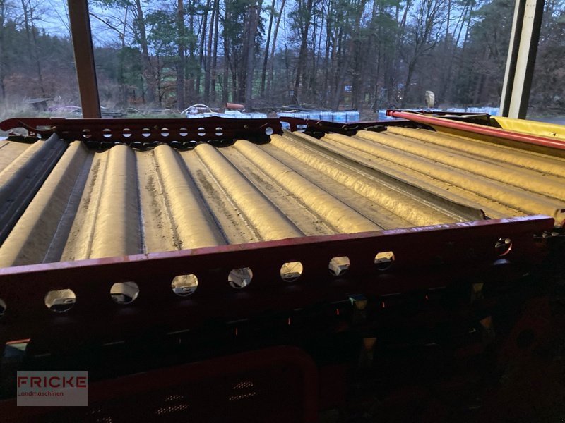 Kartoffelroder vrste Grimme Evo 260 UB Nonstop, Gebrauchtmaschine v Bockel - Gyhum (Slika 10)